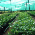 Hdpe vegetable nursery sun shade net